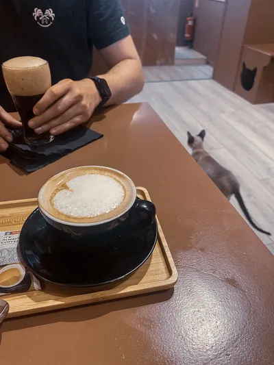 Kattencafe Katmosfeer